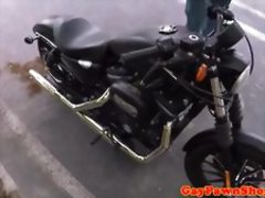 Straight pawnshop bear assfucked for cash